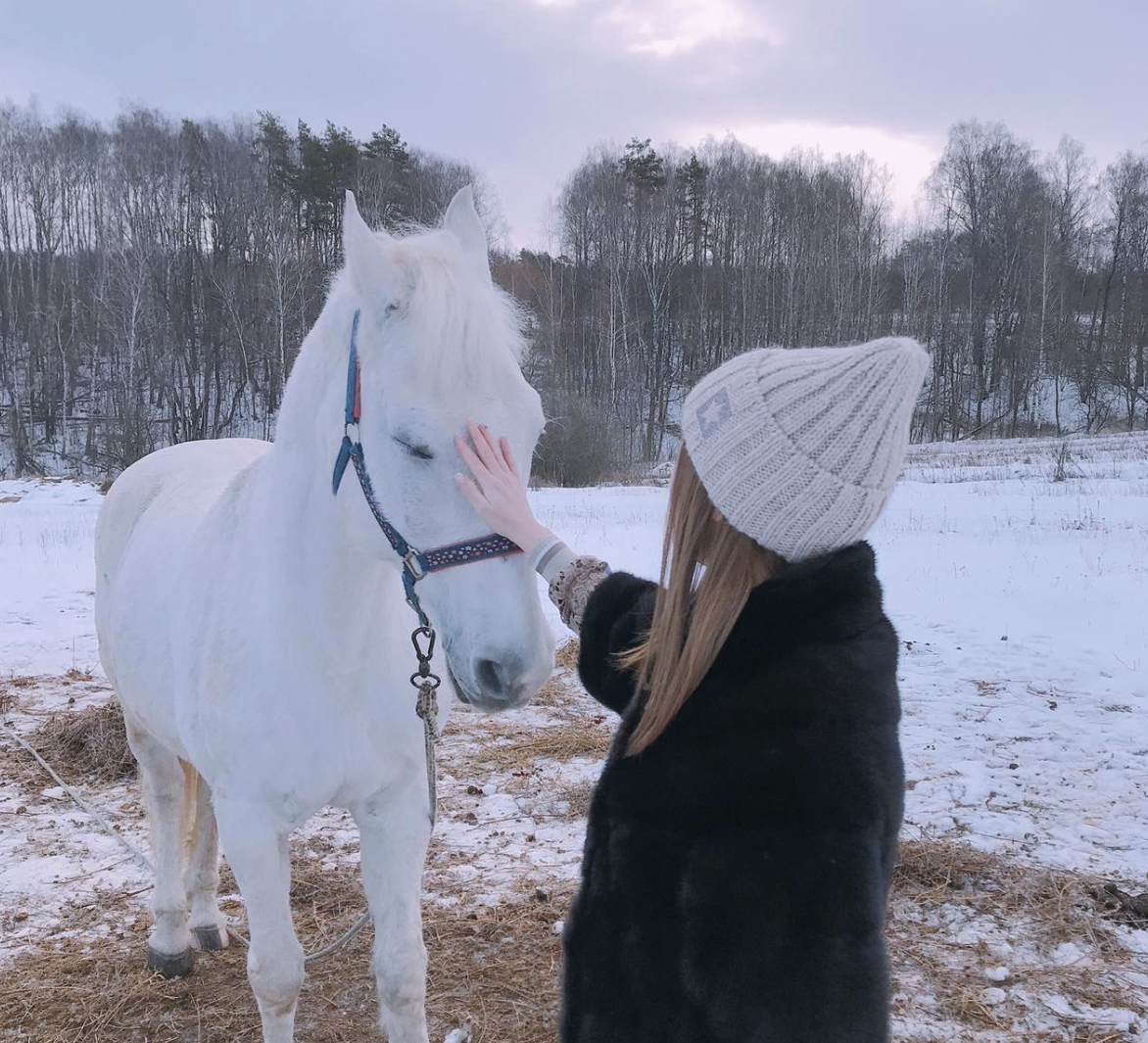 Конная прогулка зимой